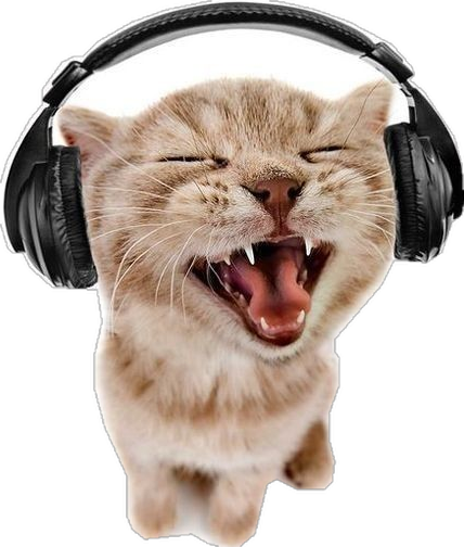 musica